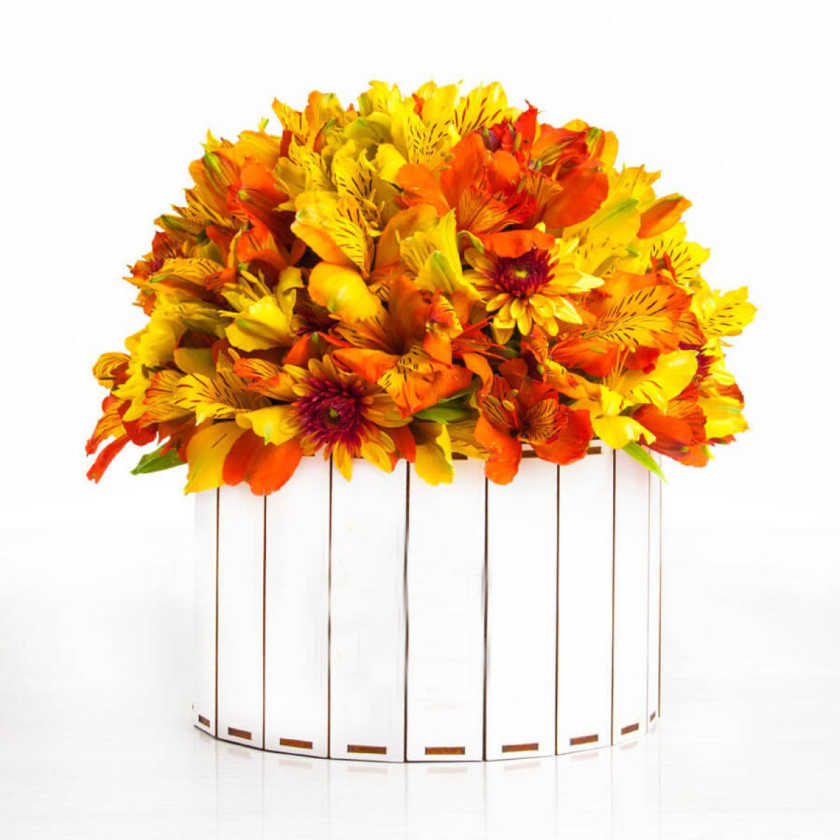 Alstroemeria Fall (Small)