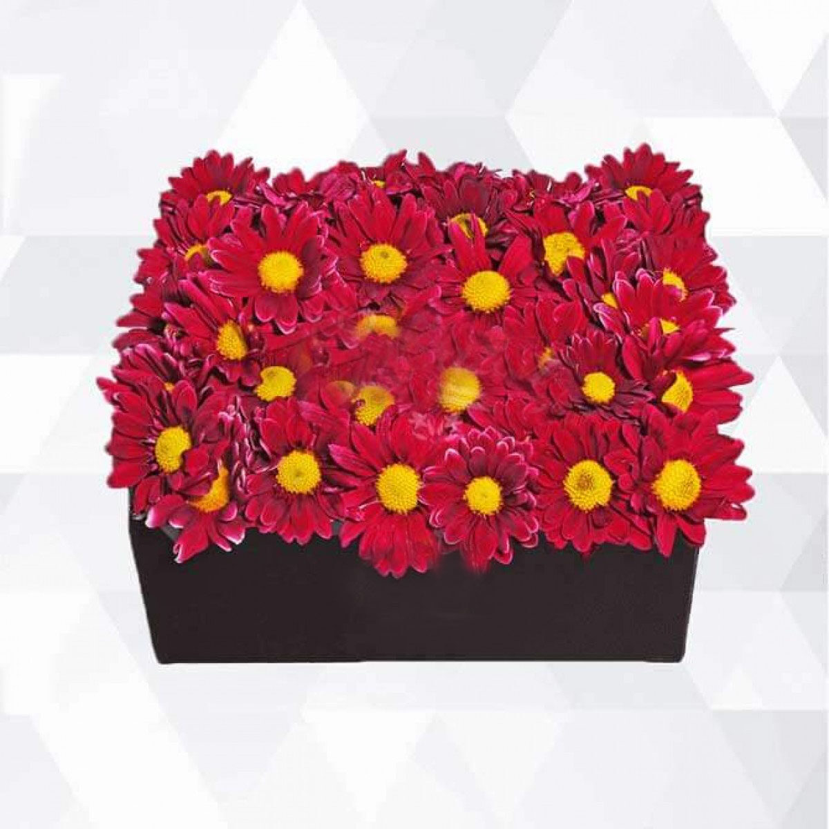 Box Chrysanthemums (Medium)