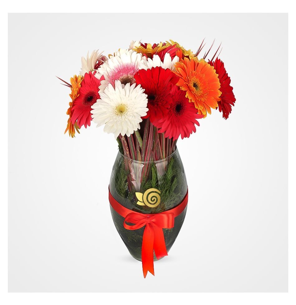 Gerbera Flower Vase