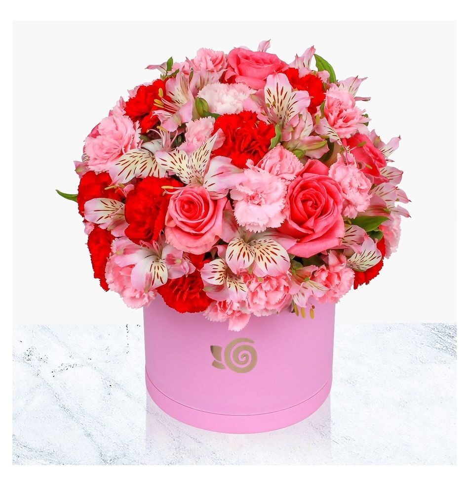Magenta Color Box