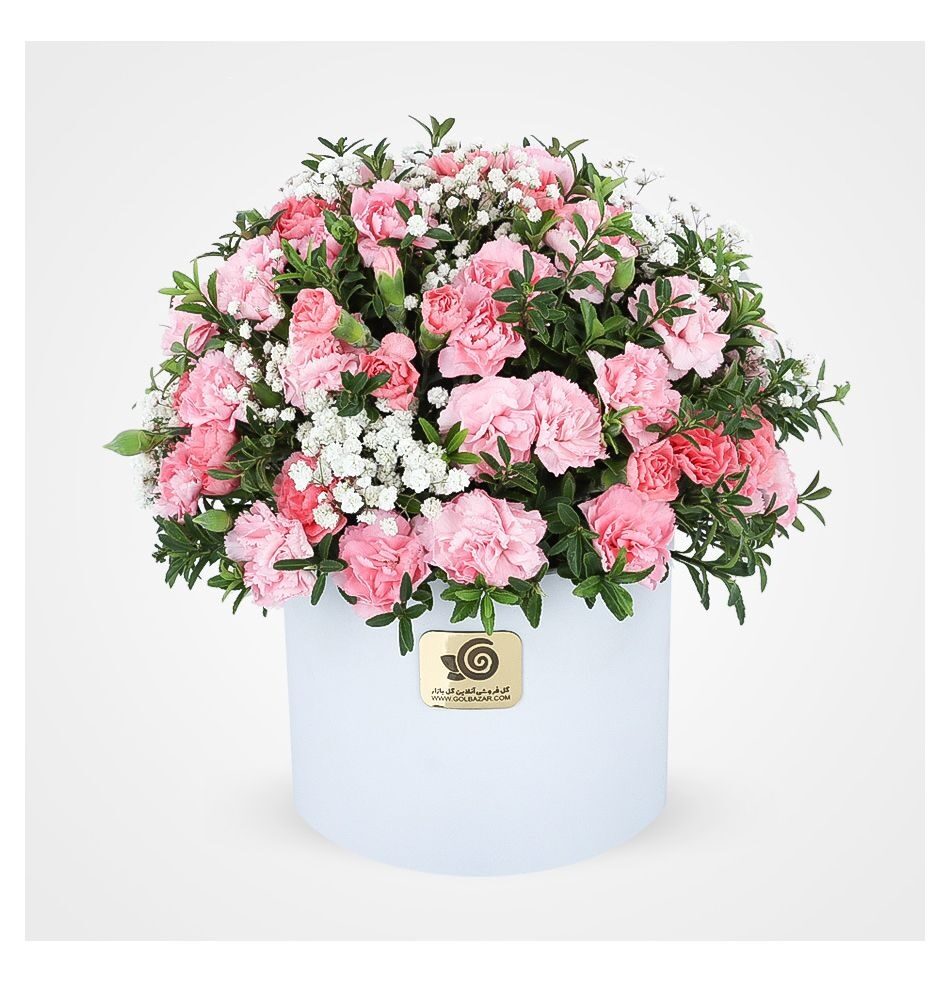 Paliz Carnations Flower Box