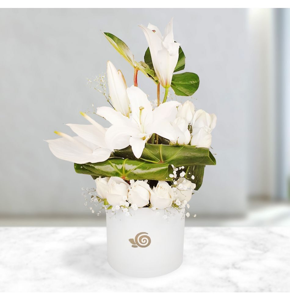 Parnian Flower Box