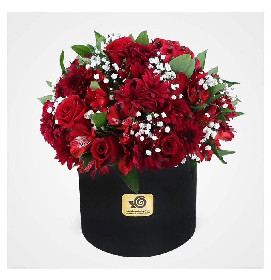 Red Color Box