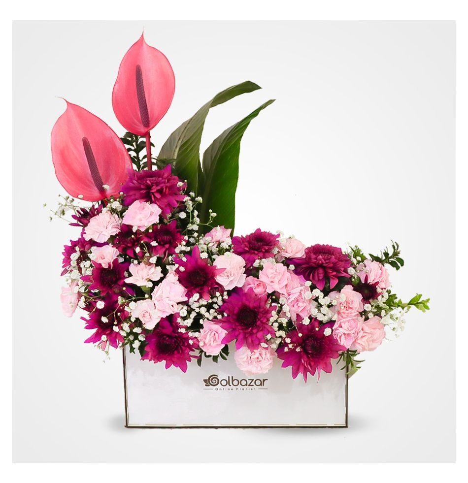 Tina Flower box and scarf