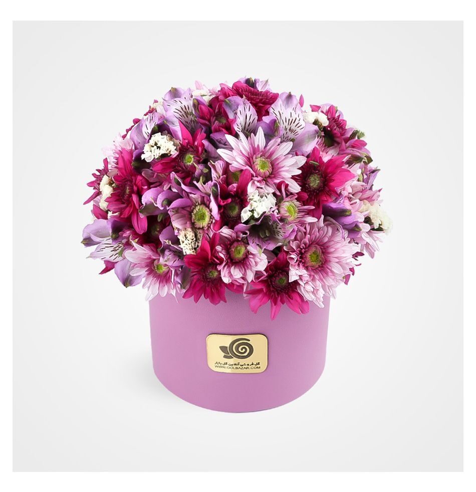 Violet Color Box