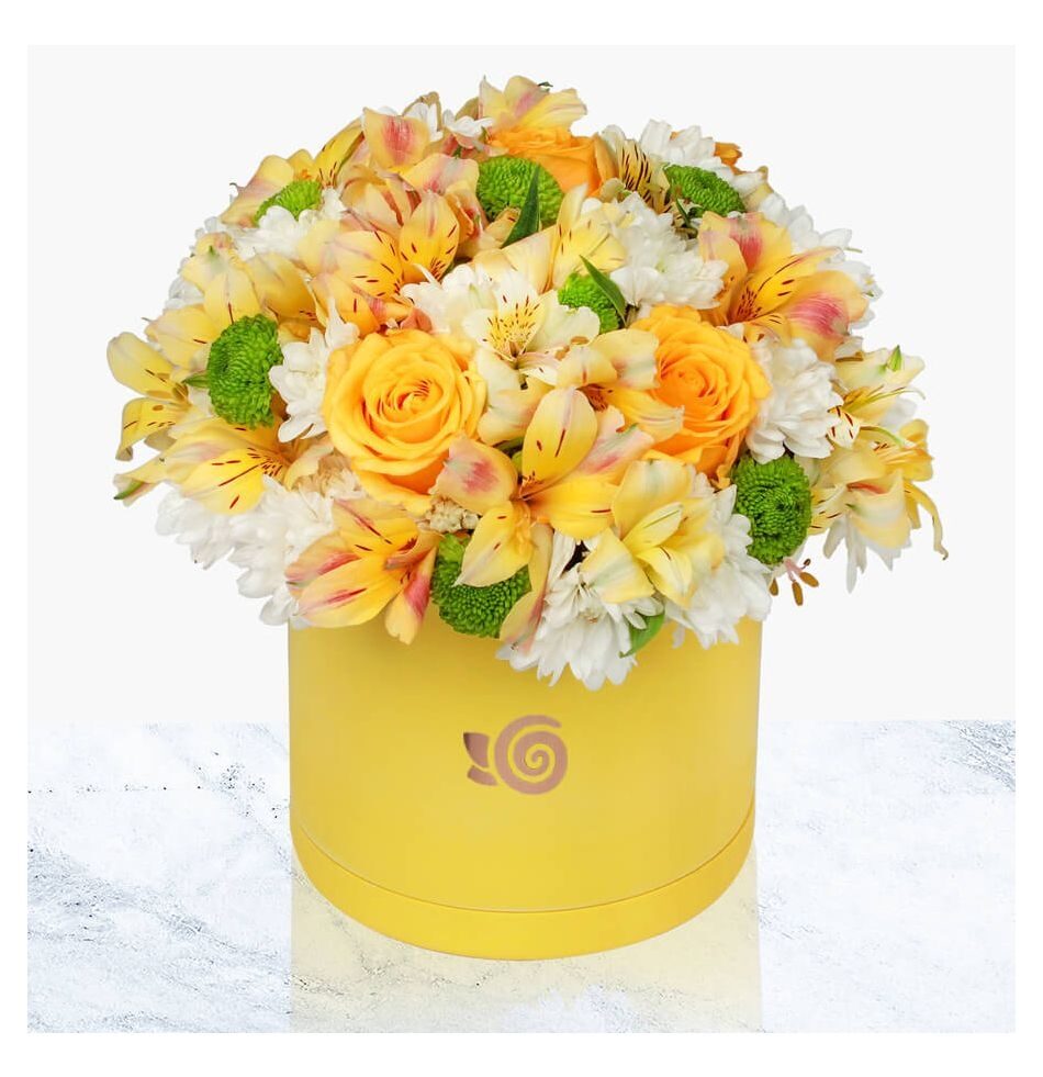 Yellow color Box