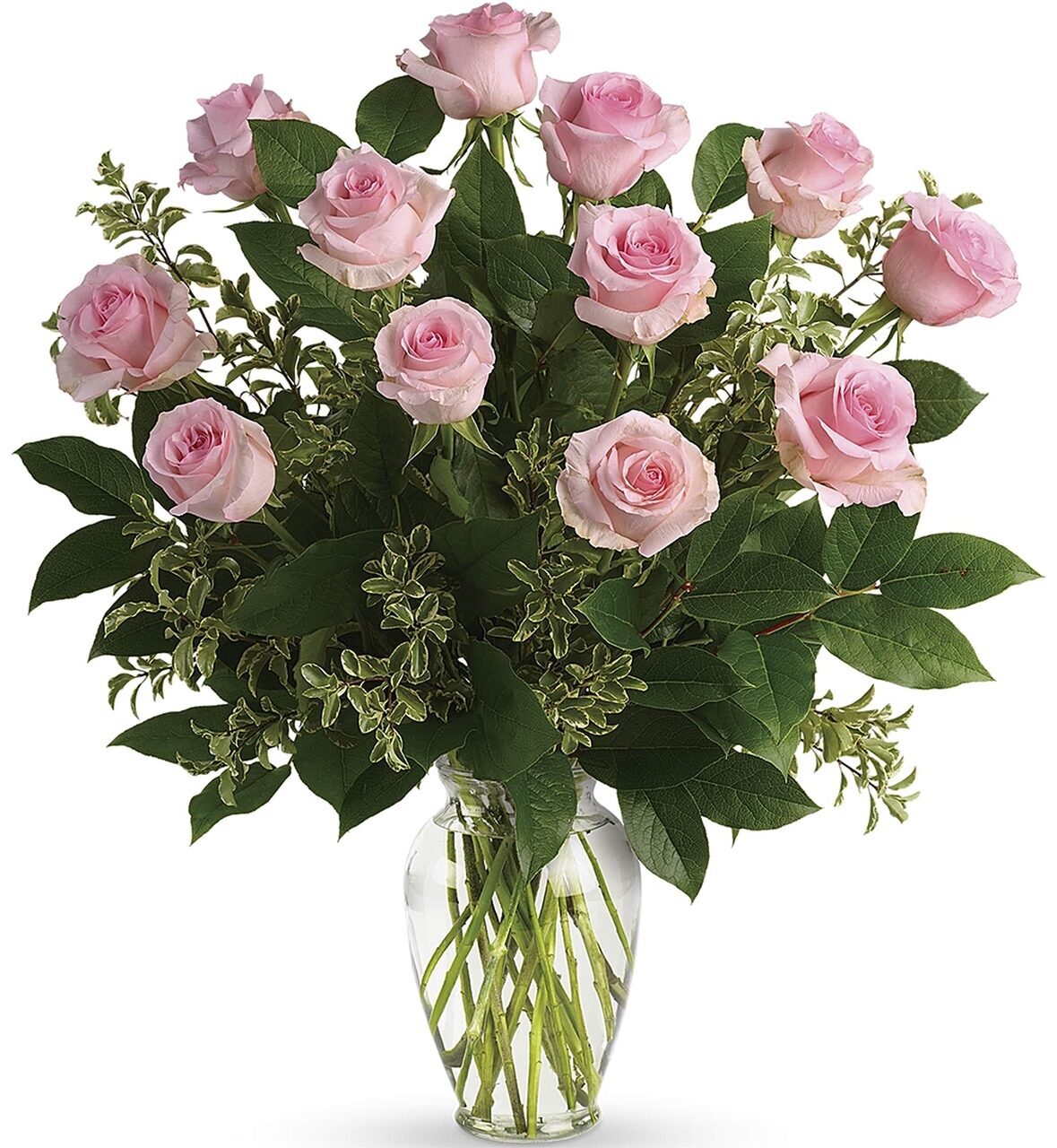 12 Pink Roses_2