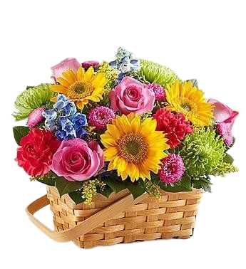 SUNNY BASKET