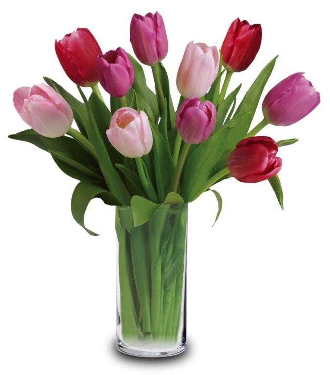 10 MIXED TULIPS