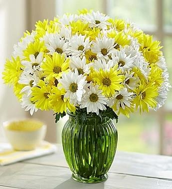 DAISY BOUQUET