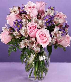 PINK SAPPHIRE (Regular)