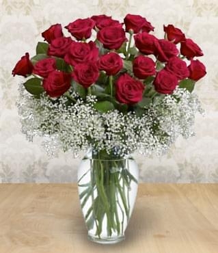 FIELD OF ROSES