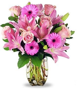 LOVELY LADY (Regular)