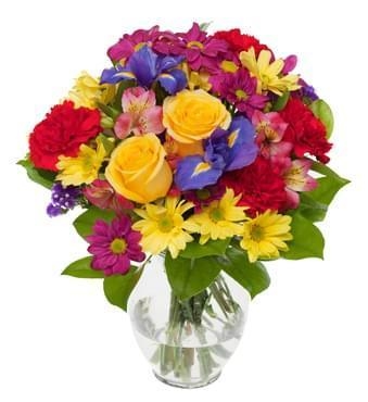 BRIGHTEN YOUR DAY