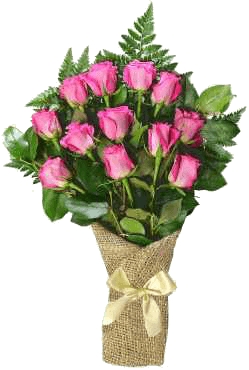 12 Pink Roses