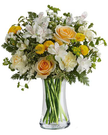 Celebrate Mum (Classic)