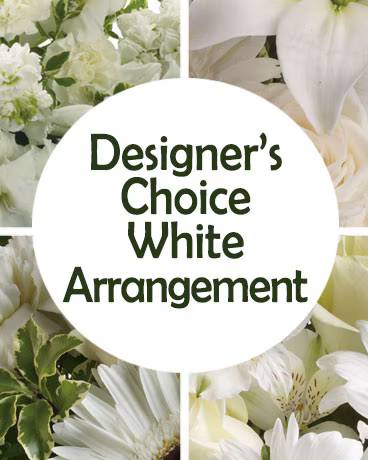 DC WHITE ARRANGEMENT PREMIUM