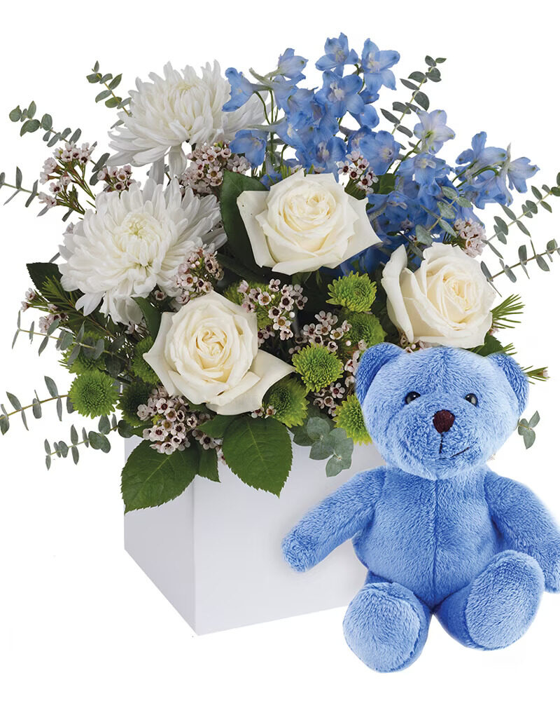 It's a Boy with Teddy (Classic)