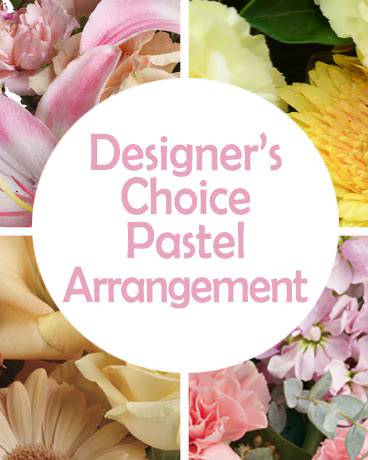 DC PASTEL ARRANGEMENT PREMIUM