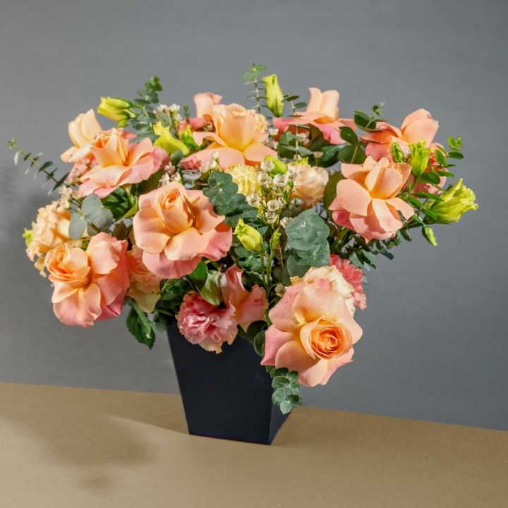 My Universe Champagne Pink Roses