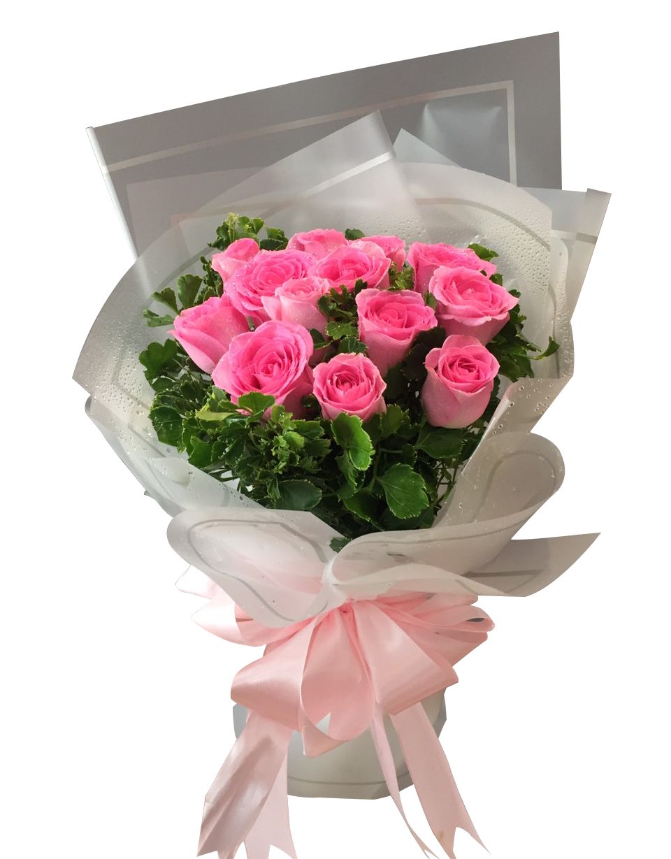 Bunch of 12 Hot Pink Roses