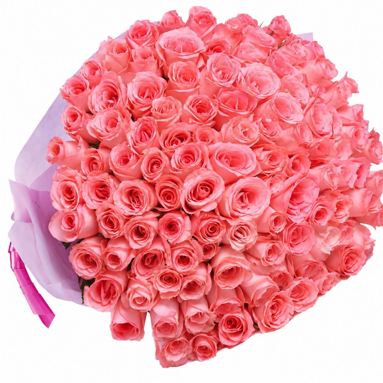 Feel You 99 Pink Roses#12