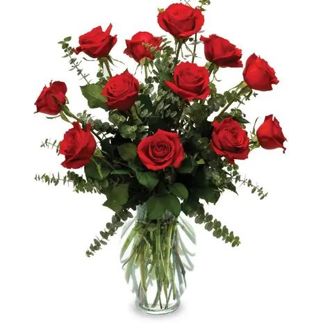 Perfect Deep Red Rose