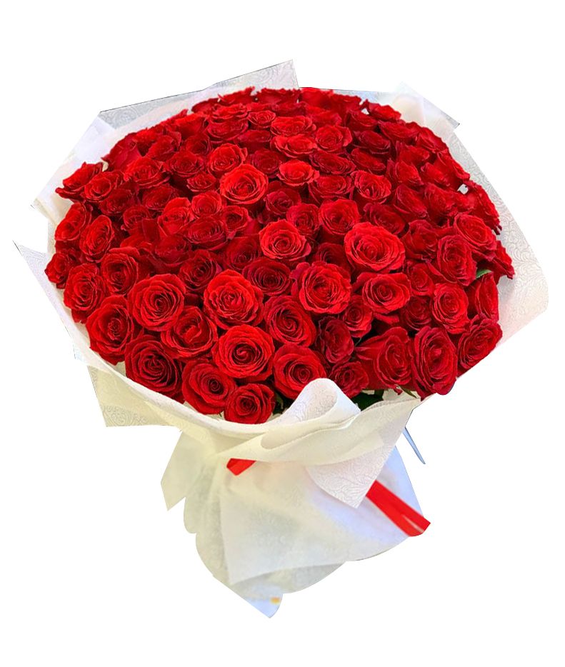 Love the Pyramid 99 Red Color Roses