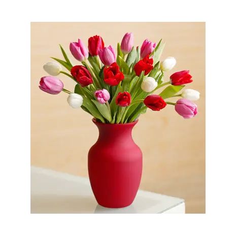 Assorted Tulips