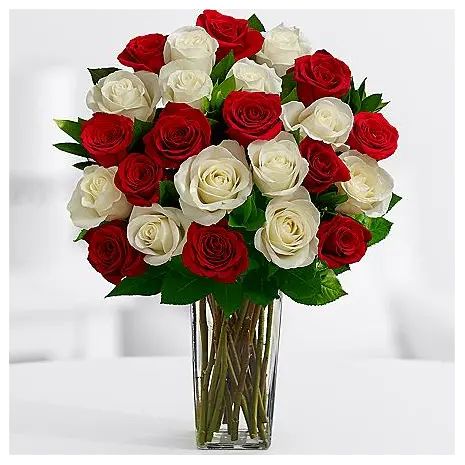 Buy 12 Red Roses and get 12 White roses absolutely FREE! with FREE VASE