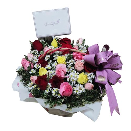 24 Mixed Roses
