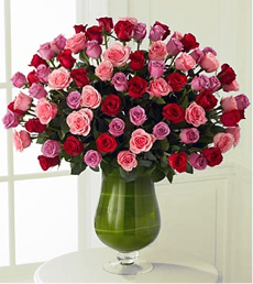 Spring Awakenings (48 Rosesus)