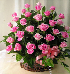 Caresses In The Soul (24 Rosesus)