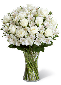 Purity (12 Roses + Flowersus)