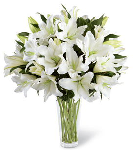 A Light In Your Honor (11 Lily Stemsus)