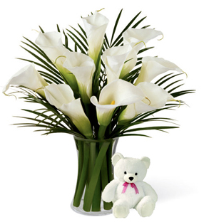 Distance Caress (12 Calla Lilies + Teddy Bearus)