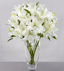 Hope (5 Lily Stemsus)