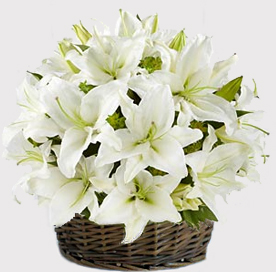 Beautiful (12 Liliesus)