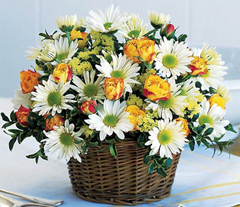 Living Like This (18 Roses And Daisesus)