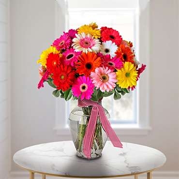 Gerberas (12 Gerberas Daisies in a Vase)