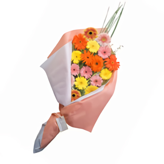 A Sun Of Gerberas (18 Gerberasus)
