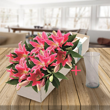 Box Of Affection + Vase! (3 Lily Stems)