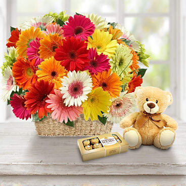 Cuddle Flowers (10 Gerberas + Teddy Bear + Chocolates)