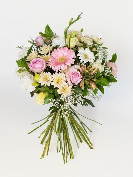 Pastel Luxury
