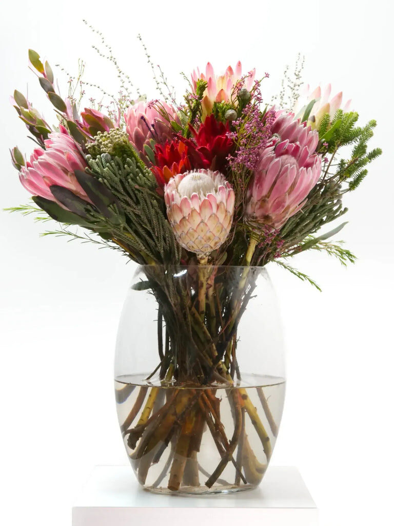 Girl, You Is Fynbos (Single)