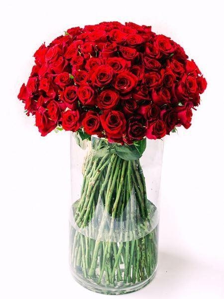 Limitless Luxury (Small (50 Roses))