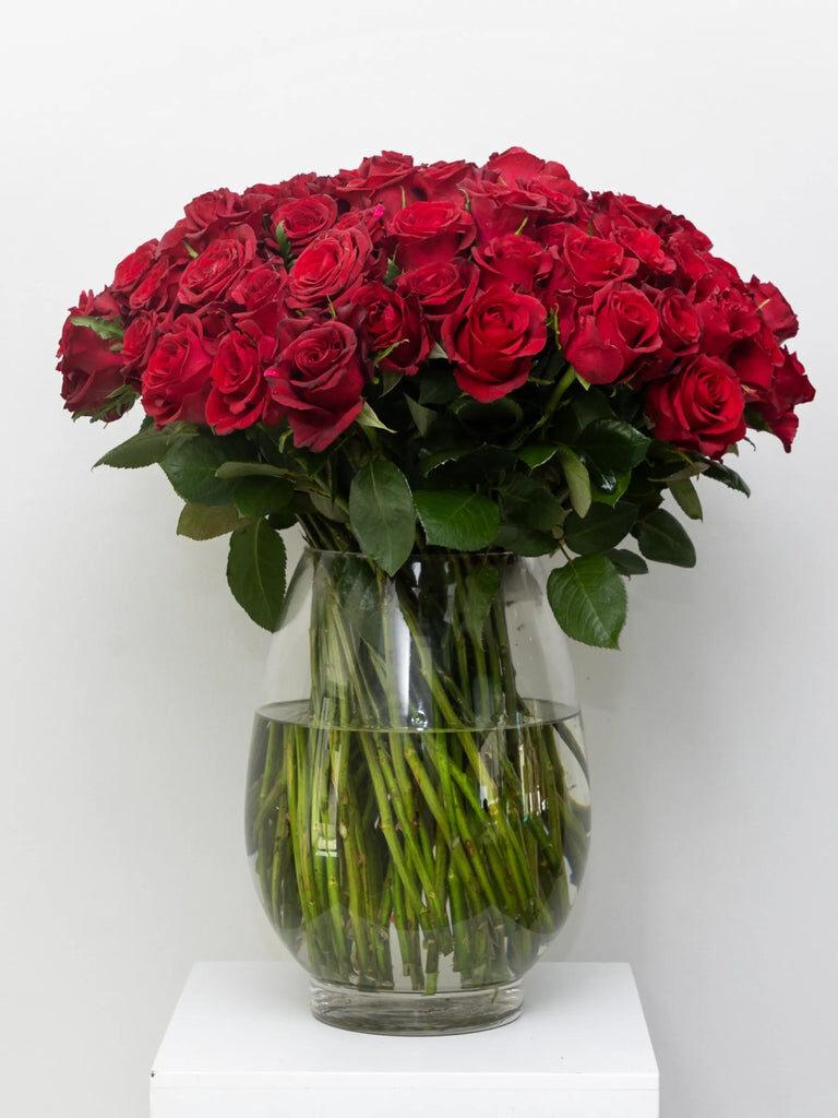 Limitless Luxury (Small (50 Roses))