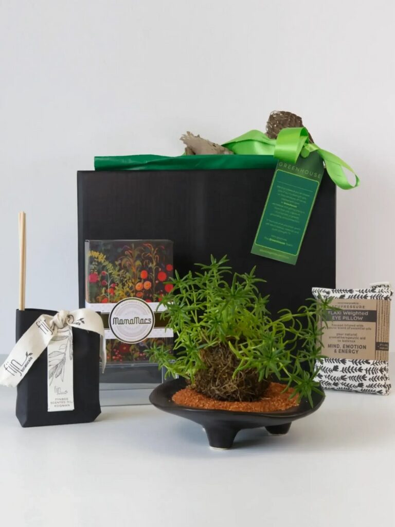 Moss and Meaning Kokedama Gift Set