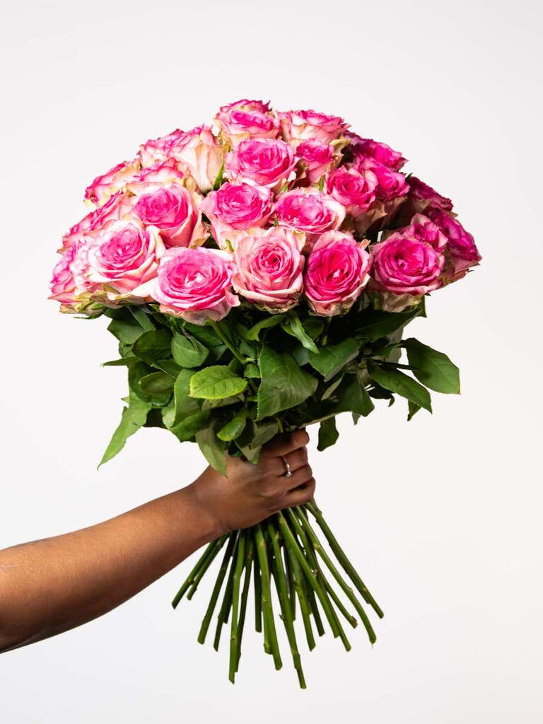 1000 Miles (Single (12 Roses))
