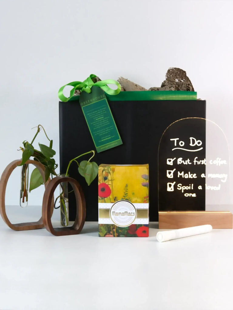 Roots & Rituals Hydroponic Plant Gift Set